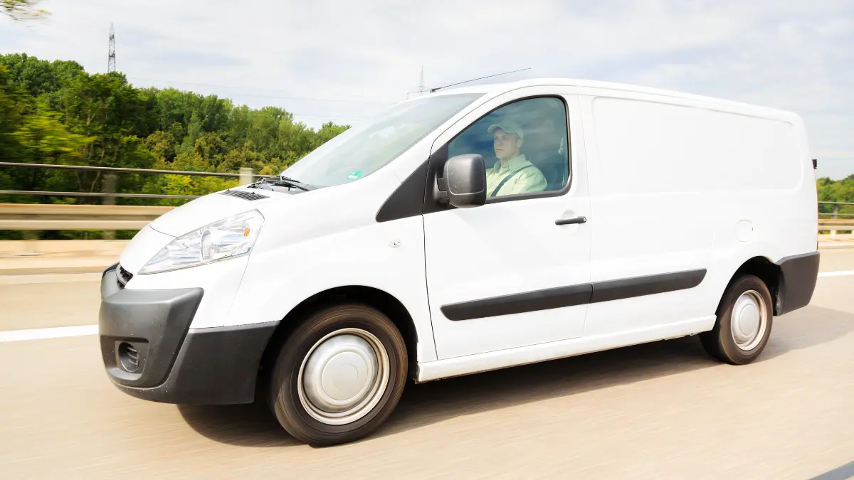 Pros and Cons of Diy Delivery